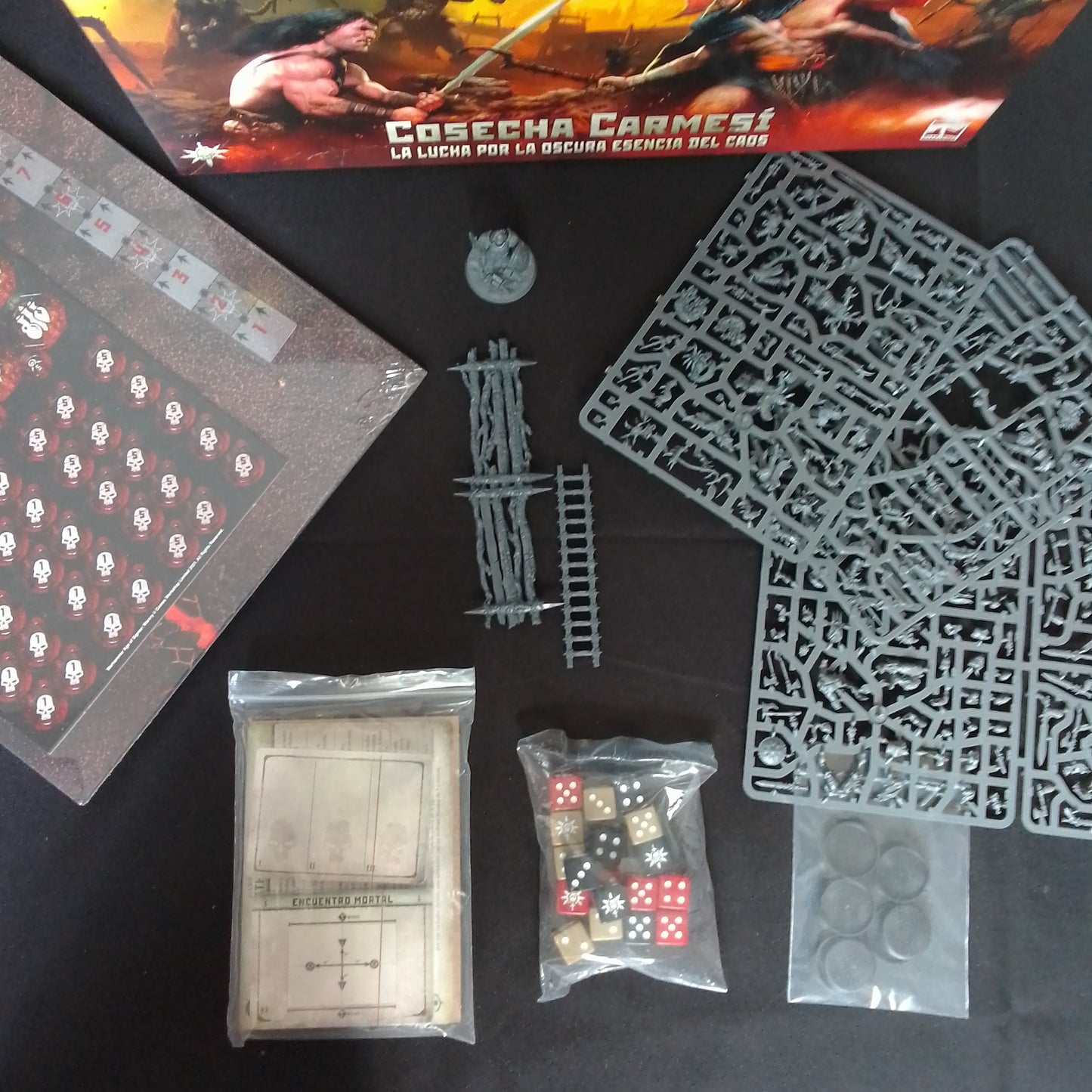 B2G - WH AOS Warcry Cosecha carmesí - para alquilar