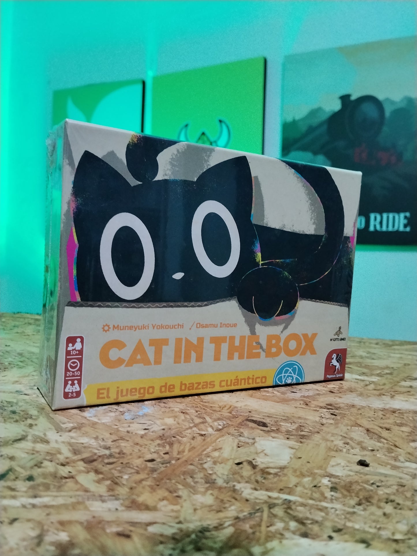Cat In The Box - Español